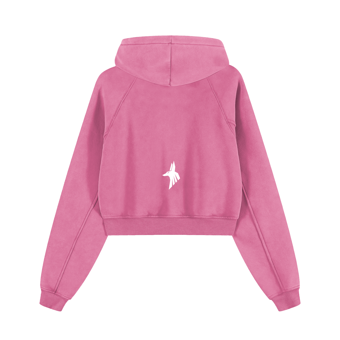 Snow Washed Cropped Hoodie