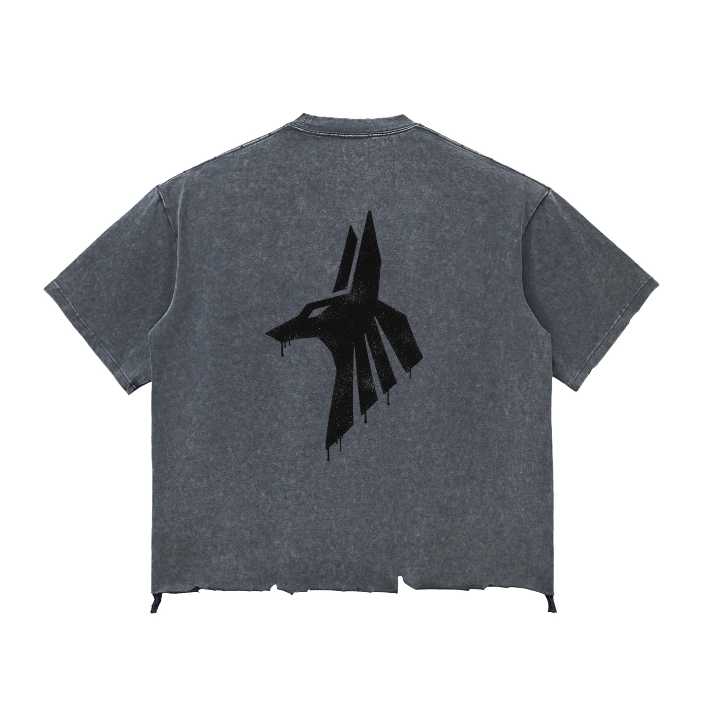 Snow Wash Raw-Hem Boxy T-shirt